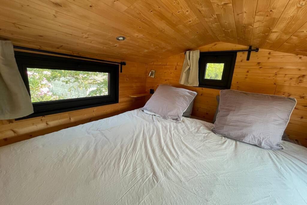 Myinsolite - Tiny-House, Jacuzzi, Brasero, Piscine Aigues-Mortes Kültér fotó