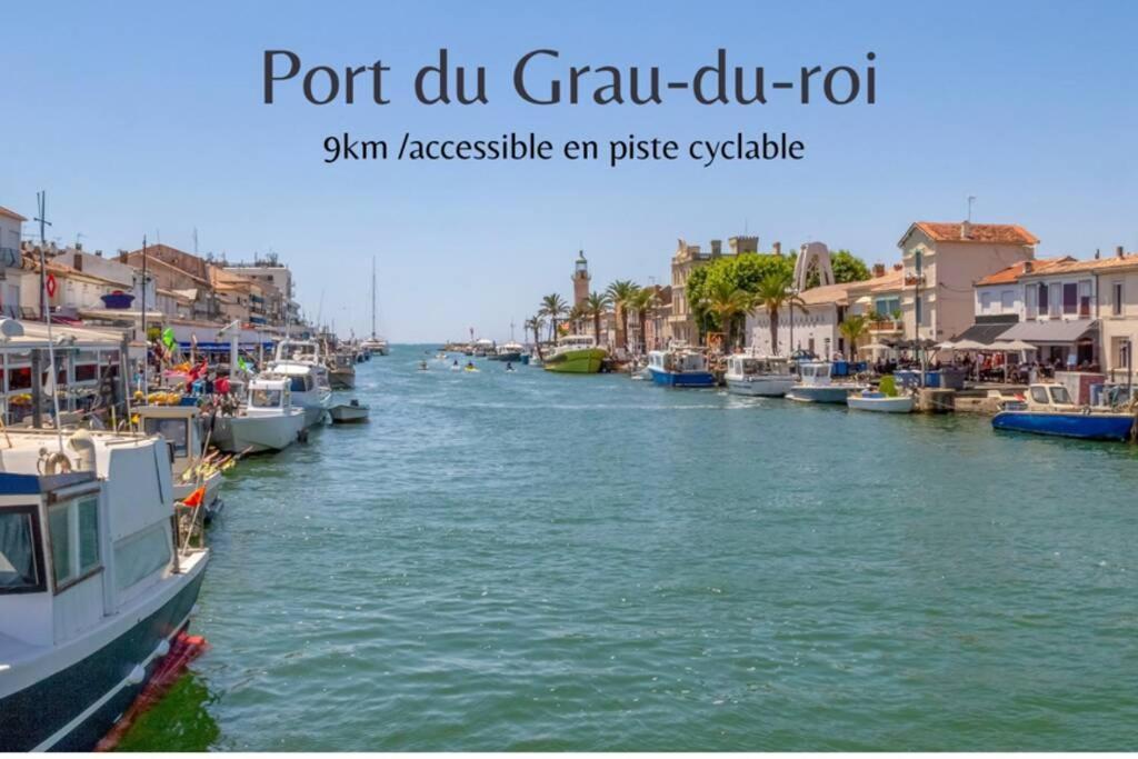 Myinsolite - Tiny-House, Jacuzzi, Brasero, Piscine Aigues-Mortes Kültér fotó